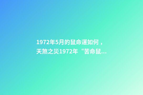 1972年5月的鼠命運如何，天煞之災1972年“苦命鼠”遇到“麻煩事了”
